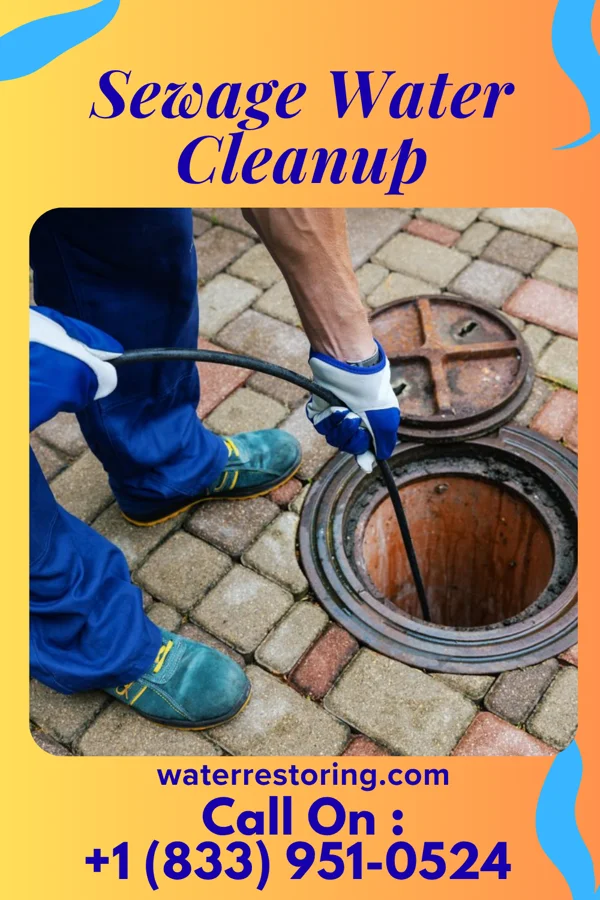 Sewage Water Cleanup in Indian Point, MO
